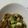 らいぶ's cooksnap of when they made 超簡単！胡麻納豆アボカド.