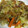 eru2008's cooksnap of when they made さば味噌煮缶でちゃんちゃん焼き風野菜炒め.