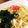 クックH6SHS1☆'s cooksnap of when they made ダシダで釜玉うどん.