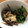 kaeayuママ's cooksnap of when they made 小松菜とシーチキンのだし醤油和え.