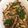 むちmuchiko's cooksnap of when they made きのこマリネ.