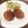 やっちゃ～～ん's cooksnap of when they made アボカド＆ブロッコリーのエビマヨサラダ.