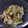 gakky's cooksnap of when they made セロリの漬物風.
