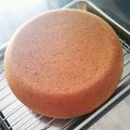 （o・ω・o）'s cooksnap of when they made 簡単ずぼらな炊飯器でおからのケーキ.