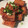 ☆ななみーる☆'s cooksnap of when they made 厚揚げのヨシダソース照り焼き.