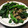 サキュバスねここ's cooksnap of when they made ★つるむらさきの豚ﾐﾝﾁ炒め★.