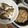 由起toto's cooksnap of when they made チヌ飯.