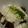 yamame6jp's cooksnap of when they made 手を汚さず簡単に！ マグロの山かけ！.