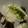 yamame6jp's cooksnap of when they made 手を汚さず簡単に！ マグロの山かけ！.