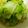 ユーロン's cooksnap of when they made もりもり食べれる！白菜たっぷりおひたし.