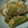 ぴよこちゃん☆'s cooksnap of when they made エンドウの卵とじ.