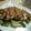 えみんちゅ＊'s cooksnap of when they made 棒々鶏.