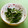 ｅｋ４'s cooksnap of when they made ＊ほうれん草としらすのゆずポンおひたし＊.