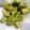 しそゆな's cooksnap of when they made 材料3つで簡単★アボカドから揚げ.