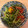 ゆりパーク's cooksnap of when they made 豆苗とトマトの塩昆布浅漬け.