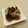 ♡礼♡'s cooksnap of when they made なめこ等7種きのこの田舎暮らし・旨煮！.