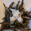 MIKIMAMU's cooksnap of when they made ずぼら管理栄養士のきびなごの煮付け.