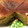じーたぷ's cooksnap of when they made 秋だ！しっとり♪さつま芋のスフレケーキ.