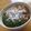 サオリ's cooksnap of when they made 納豆めかぶシラス丼.