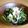 クックパッドごはん部's cooksnap of when they made にぼし油揚げ小松菜煮びたしアーモンドかけ.