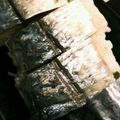 ミアーニ's cooksnap of when they made 〆炙り鰆寿司.