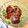 ひよこひよひよ's cooksnap of when they made マグロともやしの中華和え.
