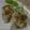 はるはる04's cooksnap of when they made 基本の焼売.
