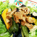 しっぽブンブン's cooksnap of when they made 簡単に✨鶏胸肉と揚ナスの&ししとうサラダ.