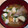 ちはるき27's cooksnap of when they made とろっとしたけんちん汁.