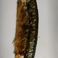 とろーるる's cooksnap of when they made 網につかない！グリルで秋刀魚の塩焼き.