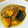 みしゃとる's cooksnap of when they made かぼちゃのそぼろあんかけ.