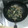 クックQTZ2B4☆'s cooksnap of when they made 簡単一品♡空芯菜とハムのニンニク炒め.