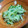 クックSEESE4☆'s cooksnap of when they made もやしときゅうりのナムル風サラダ.