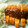 0honoka0's cooksnap of when they made ☆ゴマゴマとんかつ☆.