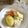 ルロワ・モワ's cooksnap of when they made サボイキャベツと根菜のスープ.
