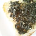 ゆなほむcrea's cooksnap of when they made 大葉の大量消費♬大葉ジェノベーゼ風♪.