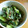 とまとま丸's cooksnap of when they made 簡単♪つる菜で浸さない おひたし。。。.