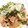 miina0075's cooksnap of when they made 豚肉と長芋とエリンギのすだちde甘酢炒め.
