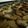 arakoshino's cooksnap of when they made 材料４つ！基本の型抜きクッキー☆.