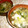 cecil_meg's cooksnap of when they made ＊ターサイと椎茸の中華スープ＊.