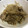 parupisa's cooksnap of when they made 豚こま肉ともやしの炒め物.