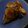ニャ〜子♪'s cooksnap of when they made 我が家の定番！ハチミツでぶりの照り焼き.