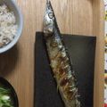 腹ペコくるみ's cooksnap of when they made グリルで☆さんまの塩焼き.