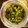 マコピチ's cooksnap of when they made 常備菜！おにぎりの具など！セロリ菜炒め.