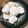 あやっぺ♩'s cooksnap of when they made ☆ココナッツオイル♥スノーボール☆.