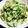 クックPTMSD7☆'s cooksnap of when they made 白菜ときゅうりのサラダ…ごまドレ….