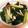 hiraria's cooksnap of when they made 小松菜とワカメの煮びたし.