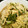 オイゼビウス's cooksnap of when they made 豚肉と小松菜のごま豆乳炒め.