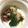 そらららー's cooksnap of when they made サラダほうれん草のおひたし.
