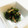 kayskei's cooksnap of when they made タコときゅうりとわかめの酢の物.